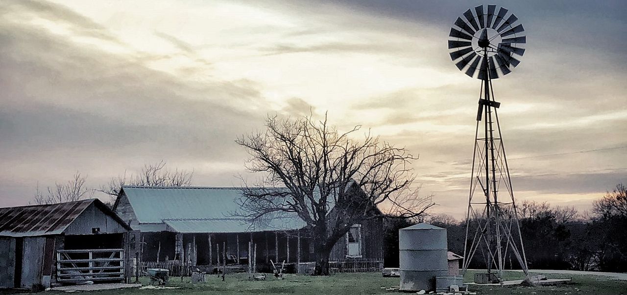 The Dark And The Wicked : Bild