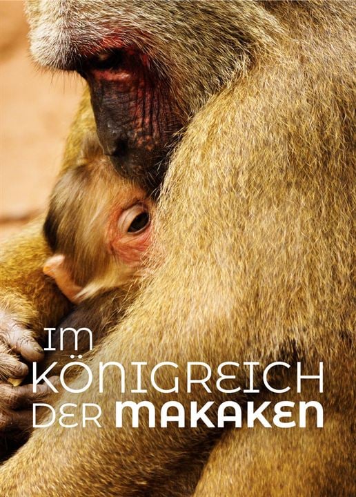 Im Königreich der Makaken : Kinoposter