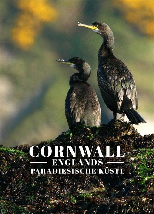 Cornwall - Englands paradiesische Küste : Kinoposter