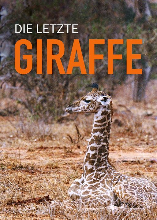 Die letzte Giraffe : Kinoposter