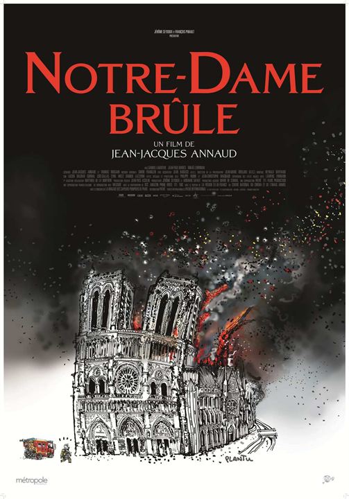 Notre-Dame in Flammen : Kinoposter
