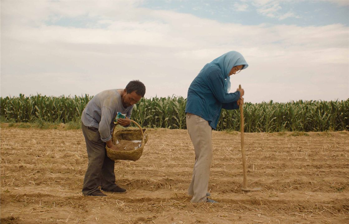 Return To Dust : Bild Hai-Qing, Wu Renlin