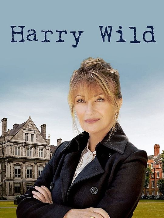 Harry Wild - Mörderjagd in Dublin : Kinoposter