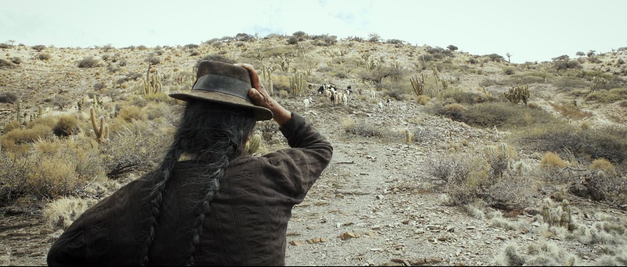 Mein fremdes Land : Bild