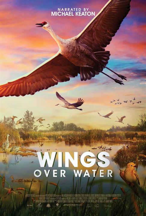Wings Over Water : Kinoposter