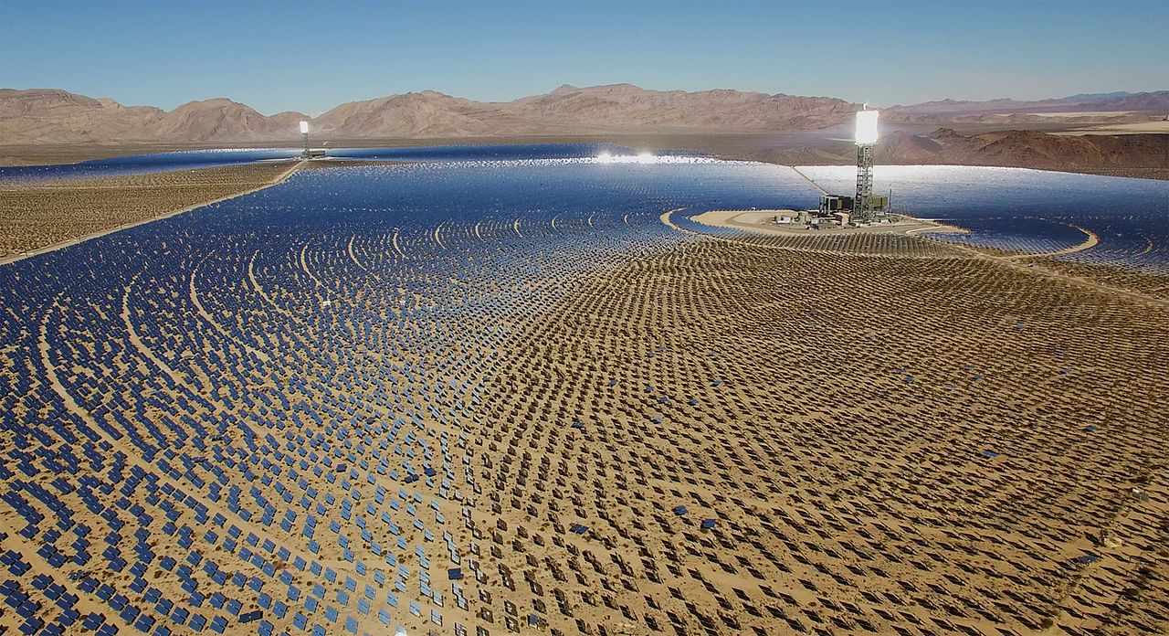 Kiss The Ground : Bild