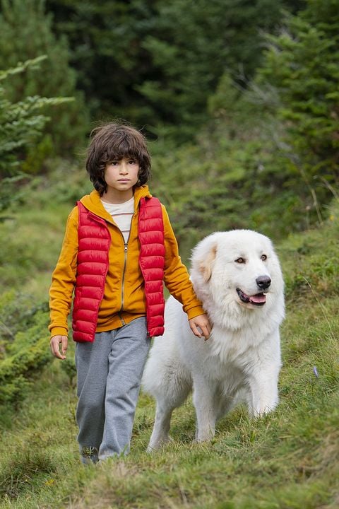 Belle & Sebastian - Ein Sommer voller Abenteuer : Bild Robinson Mensah-Rouanet