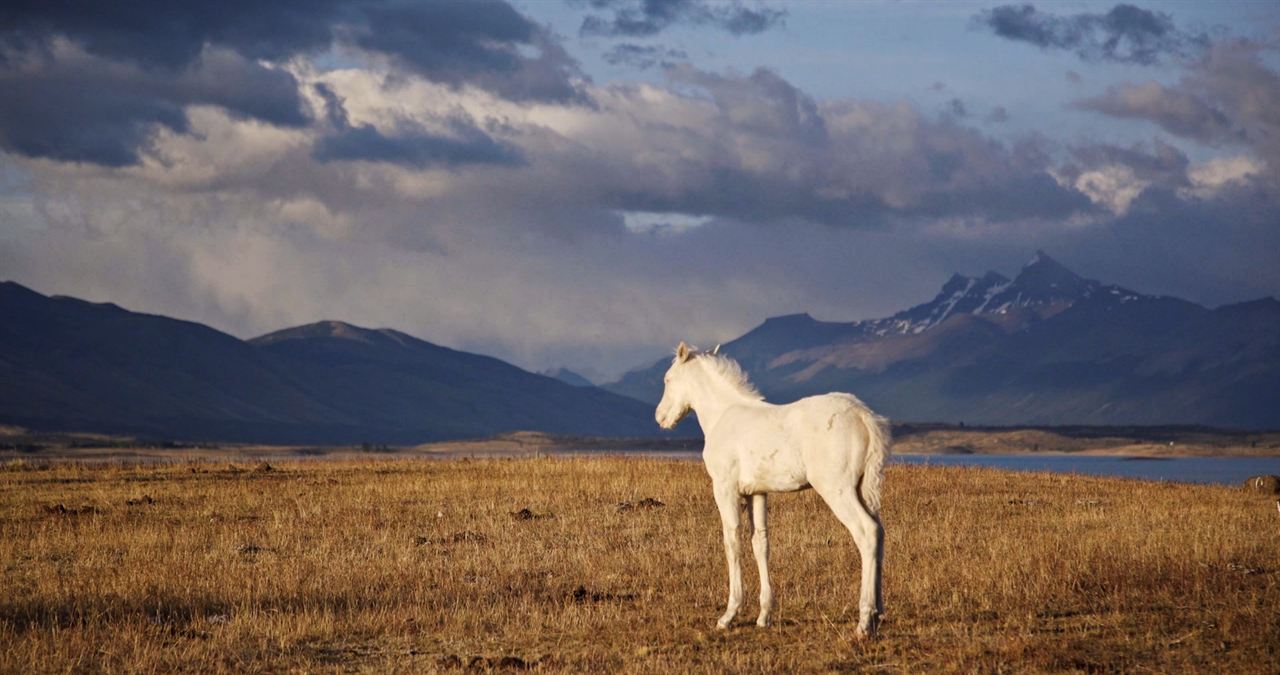 Regards Sur le Monde - Patagonie, A la lisière du monde : Bild