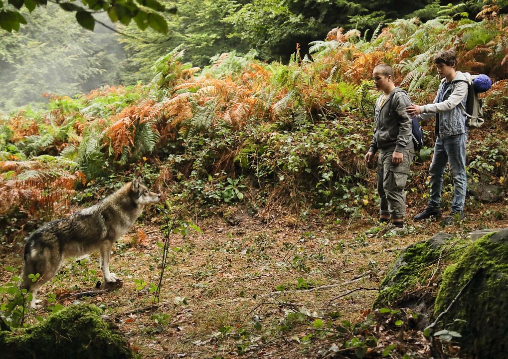 Nachtwald - Das Abenteuer beginnt! : Bild Jonas Oeßel, Levi Eisenblätter