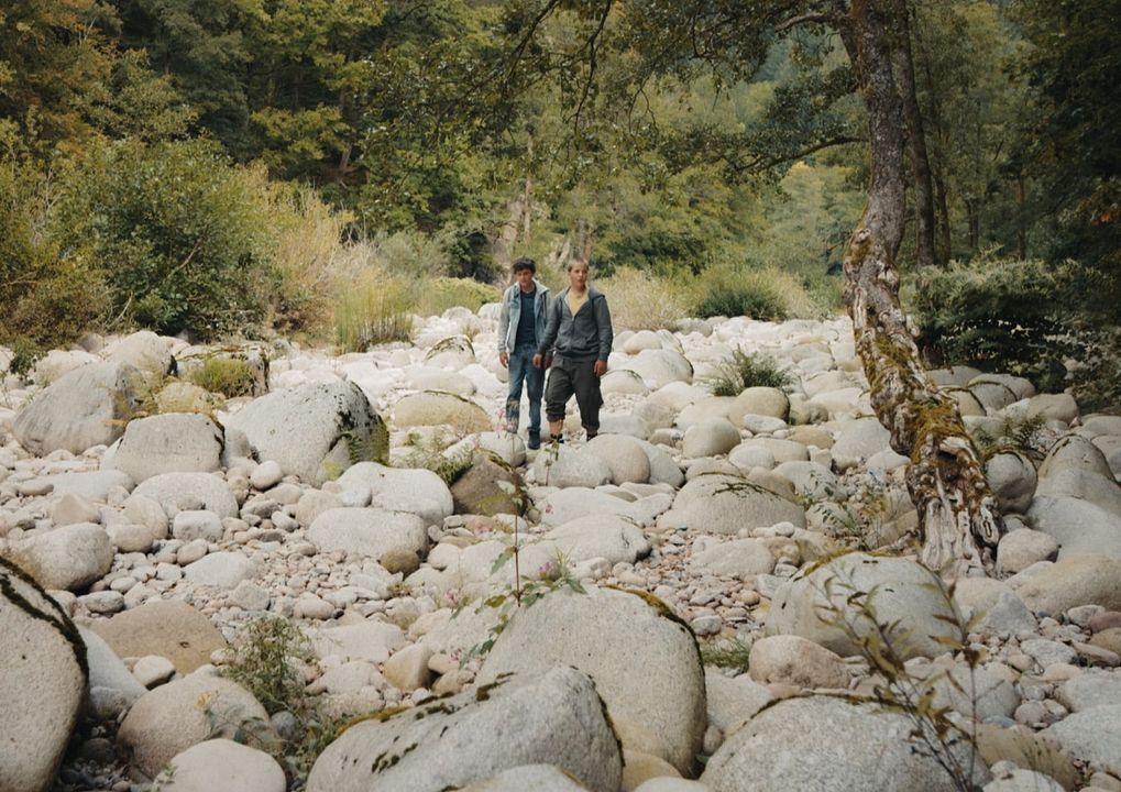 Nachtwald - Das Abenteuer beginnt! : Bild Jonas Oeßel, Levi Eisenblätter