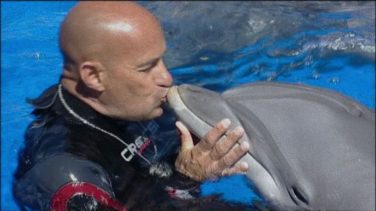 Was geschah mit dem Delfin-König? : Bild