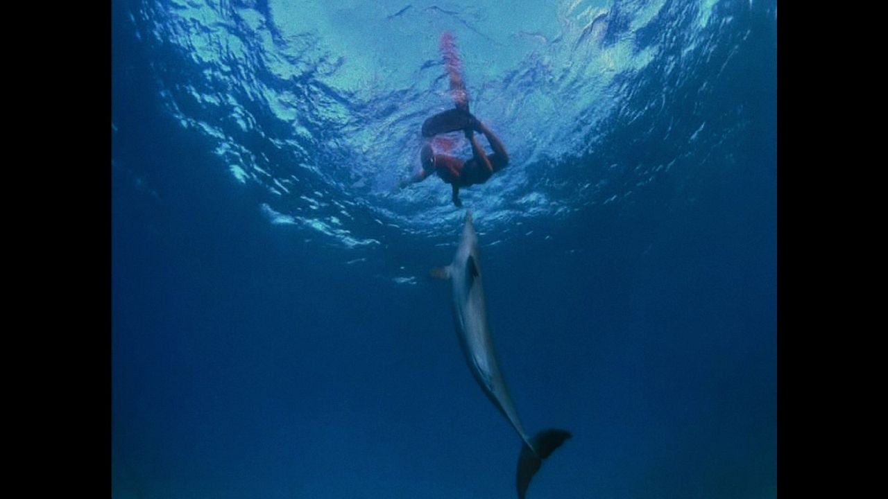 Was geschah mit dem Delfin-König? : Bild