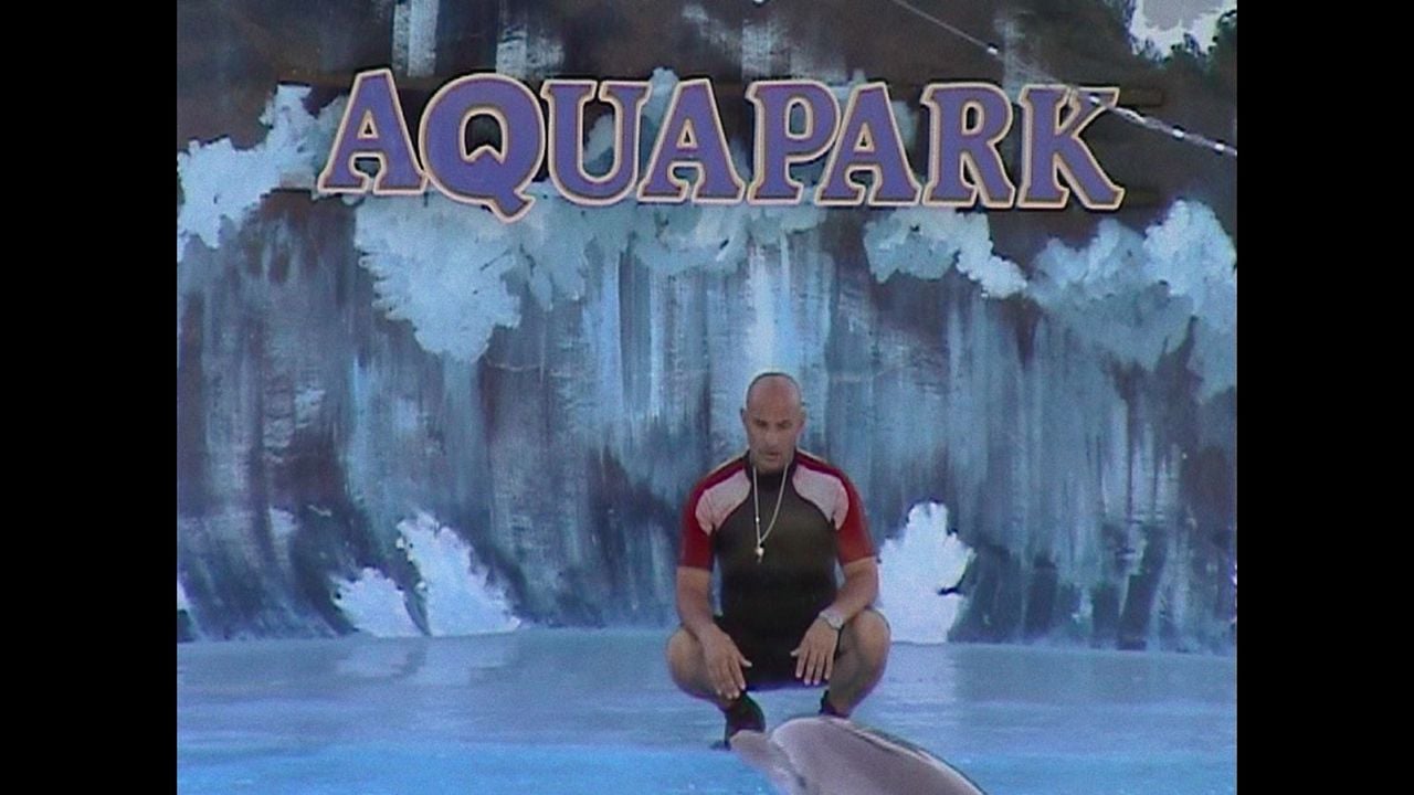 Was geschah mit dem Delfin-König? : Bild