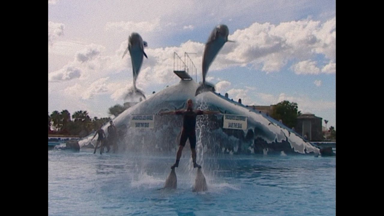 Was Geschah Mit Dem Delfin König Foto zum Film Was geschah mit dem Delfin-König? - Bild 1 auf 7