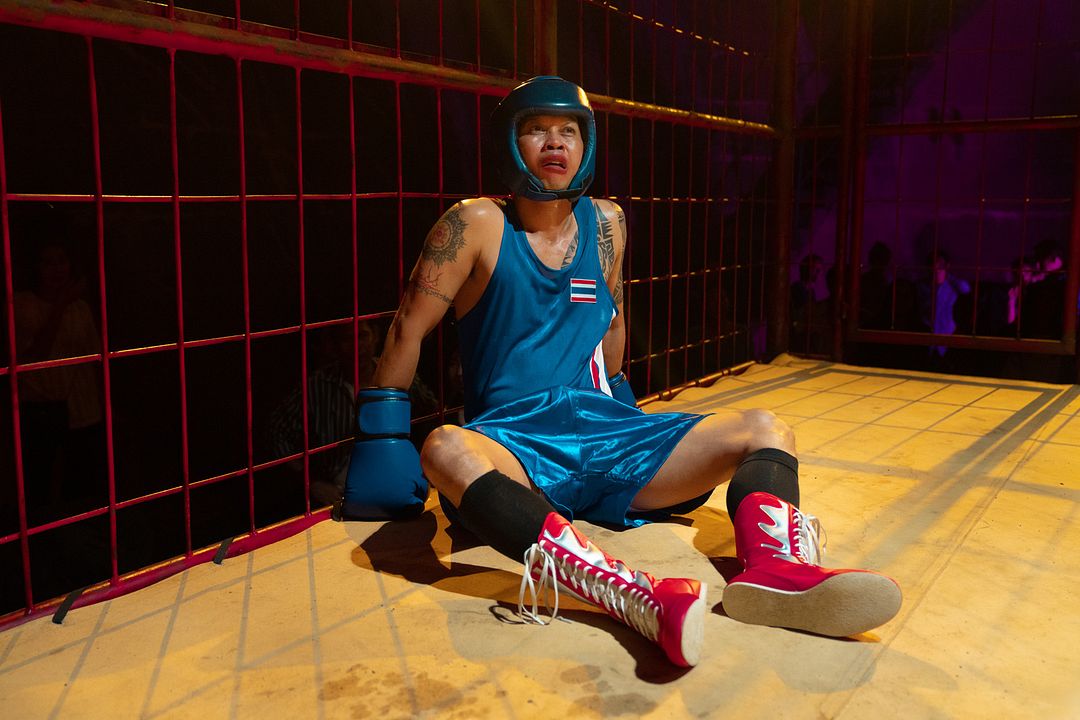 The Lost Lotteries : Bild