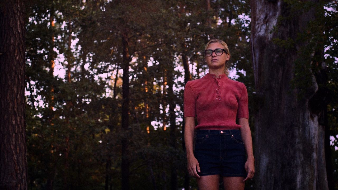 Hinter den Augen die Dämmerung : Bild