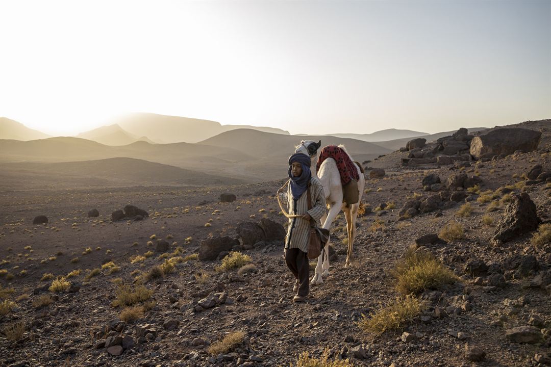 Prinzen der Wüste - Schneller als der Wind : Bild Yassir Drief