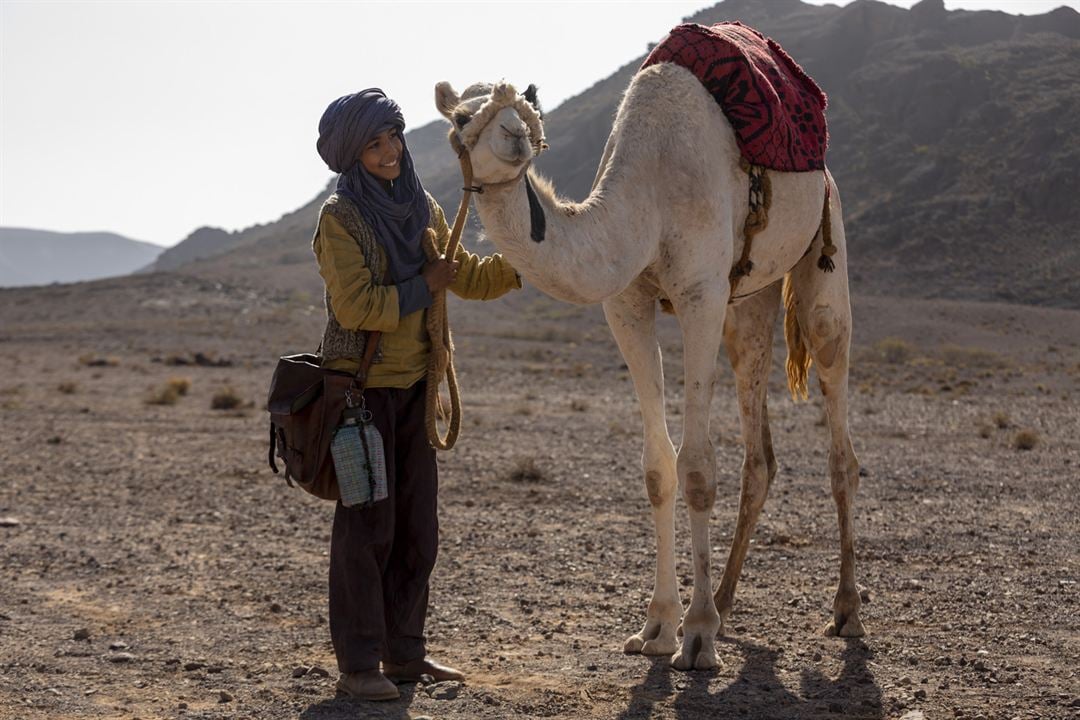 Prinzen der Wüste - Schneller als der Wind : Bild Yassir Drief