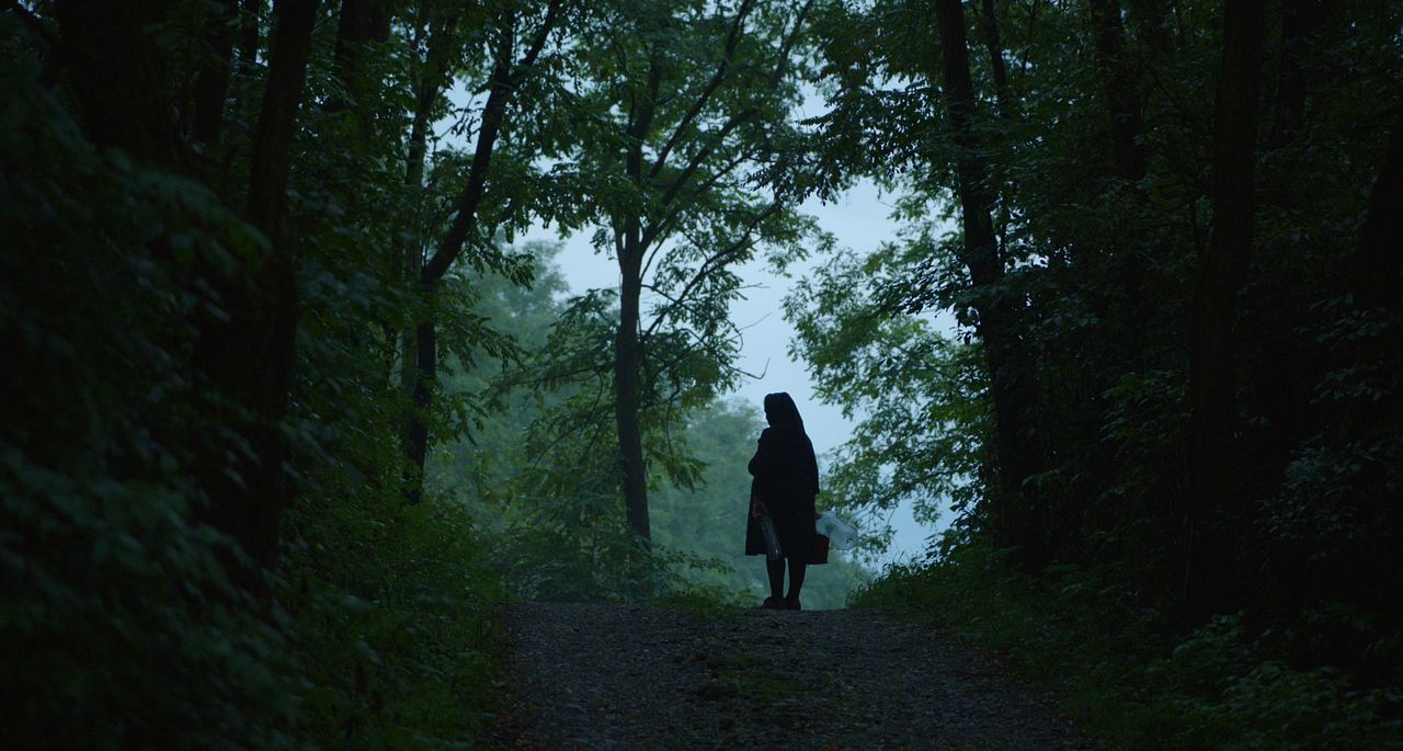 Das Klezmer Projekt – Eine Reise auf der Suche nach den Wurzeln jiddischer Musik : Bild