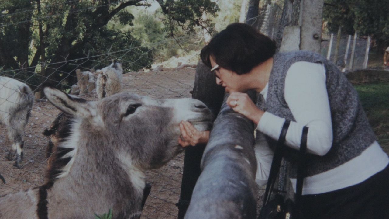 El rostro de la medusa : Bild