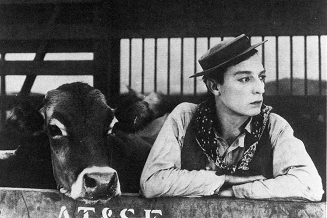 Buster Keaton-Der Cowboy : Bild