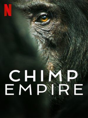 Chimp Empire : Kinoposter