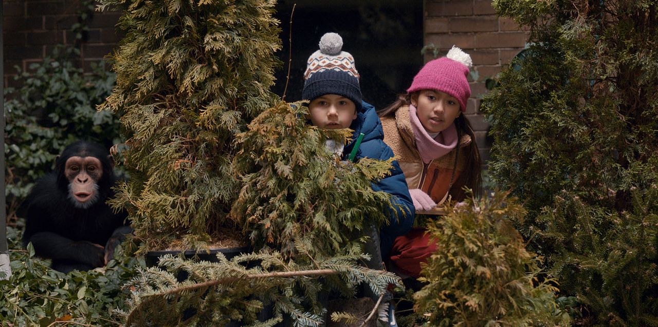 Janes tierische Abenteuer : Bild Ava Louise Murchison, Mason Blomberg