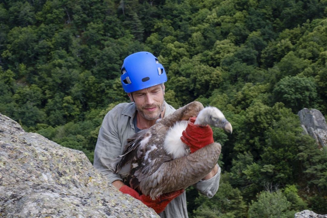 Bild Benoît Maréchal