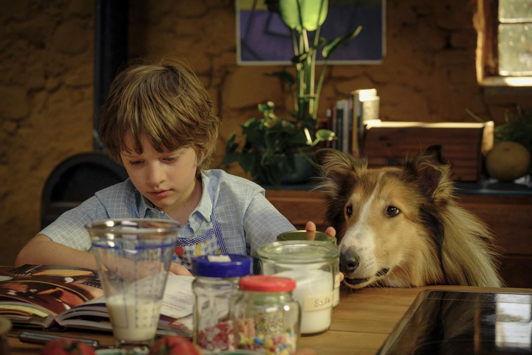 Lassie - Ein neues Abenteuer : Bild Nico Marischka, Pelle Staacken