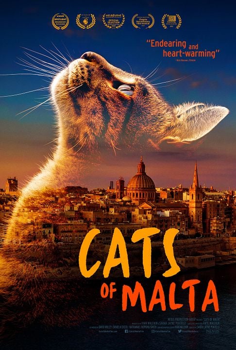 Cats Of Malta : Kinoposter