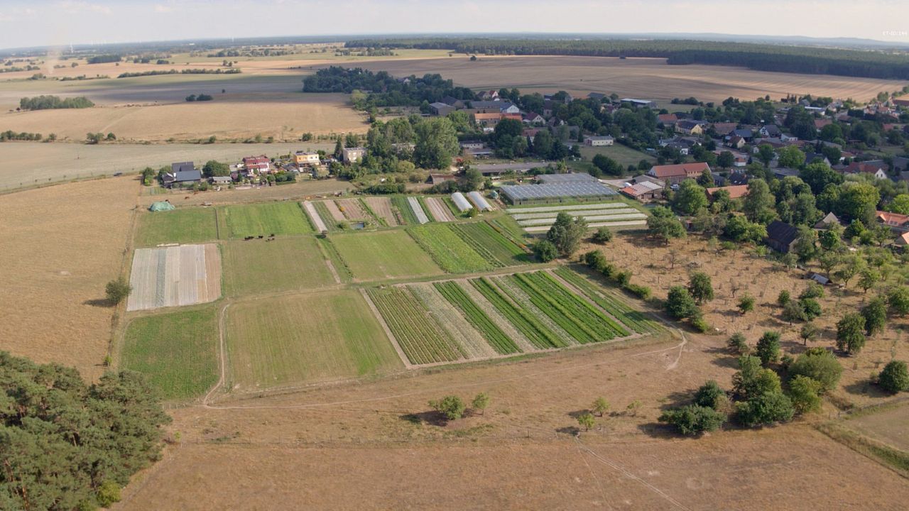 Ernte teilen - Anders Ackern für die Zukunft : Bild