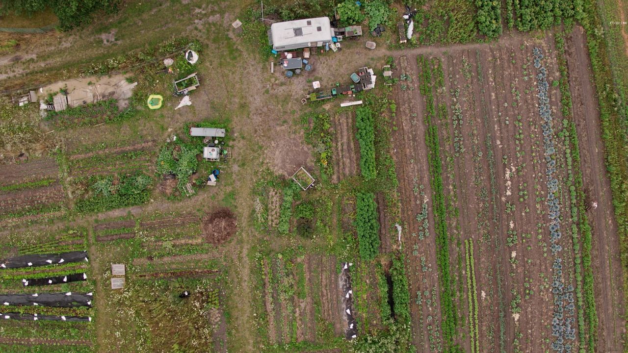 Ernte teilen - Anders Ackern für die Zukunft : Bild
