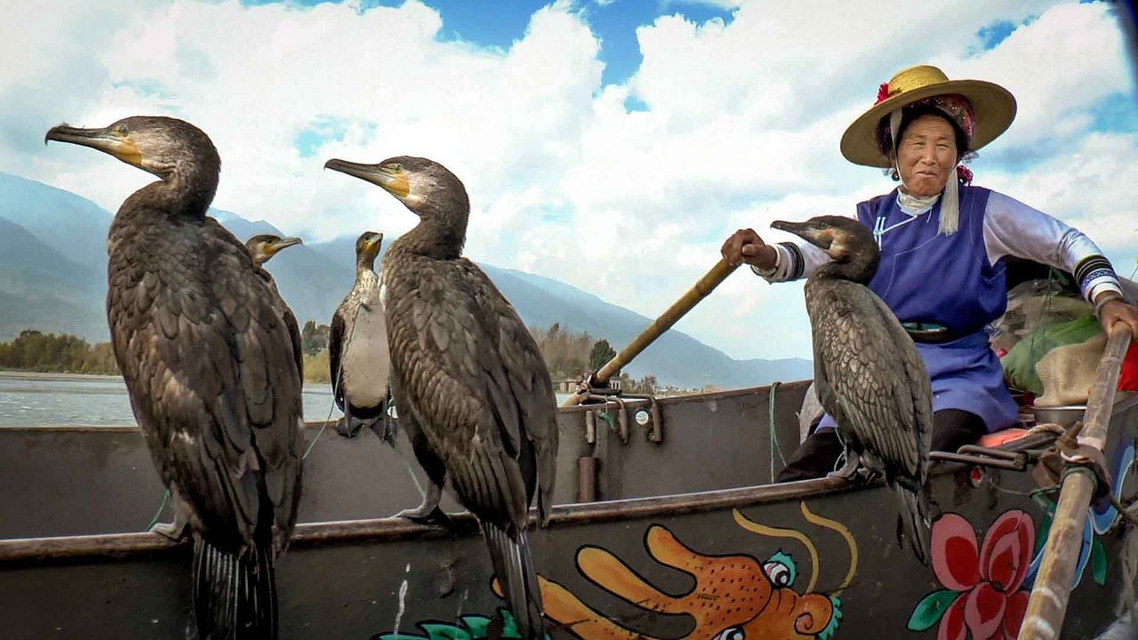 Altaïr Conférences - Mékong, Au fil d'un fleuve mythique : Bild