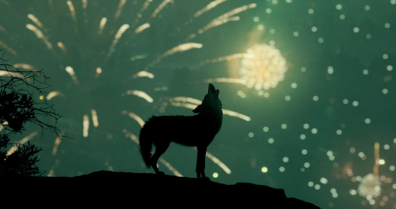 Something In The Dirt : Bild