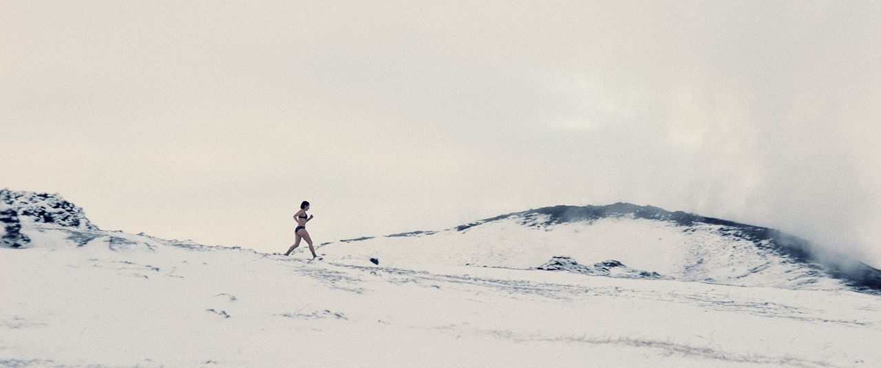 Fearless Flyers - Fliegen für Anfänger : Bild