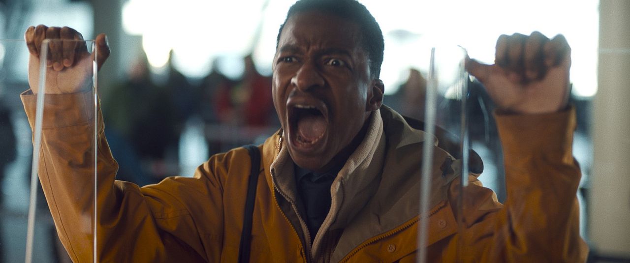 Fearless Flyers - Fliegen für Anfänger : Bild