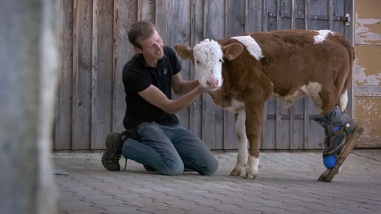 Menschen & Tiere : Bild