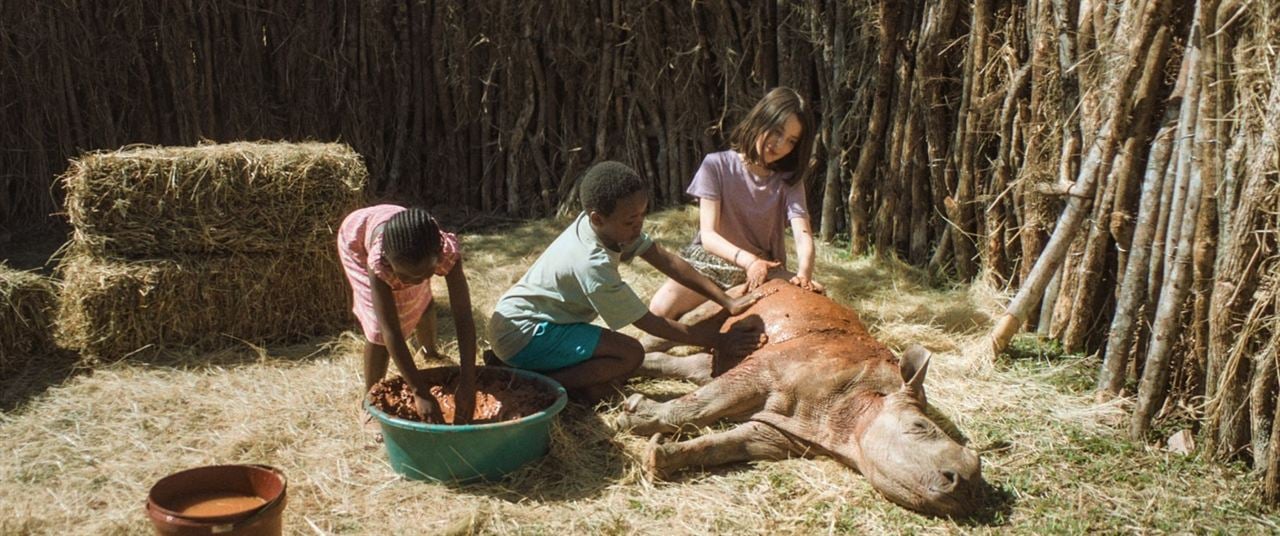 Thabo - Das Nashorn-Abenteuer : Bild Ava Skuratowski, Vutlhari Sibisi, Litlhohonolofatso Litlhakayane