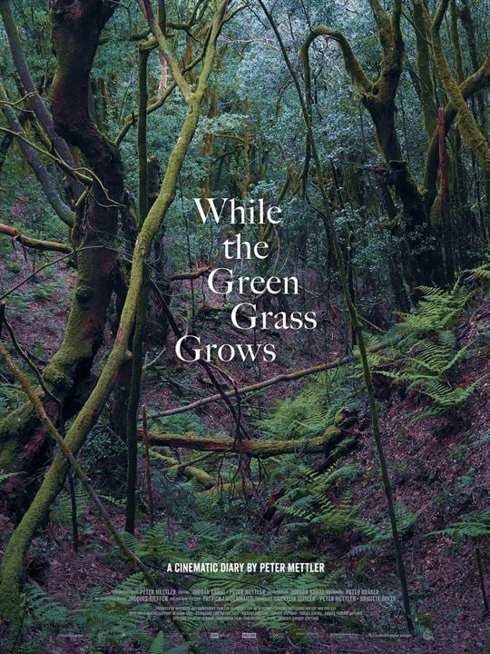 While The Green Grass Grows : Kinoposter