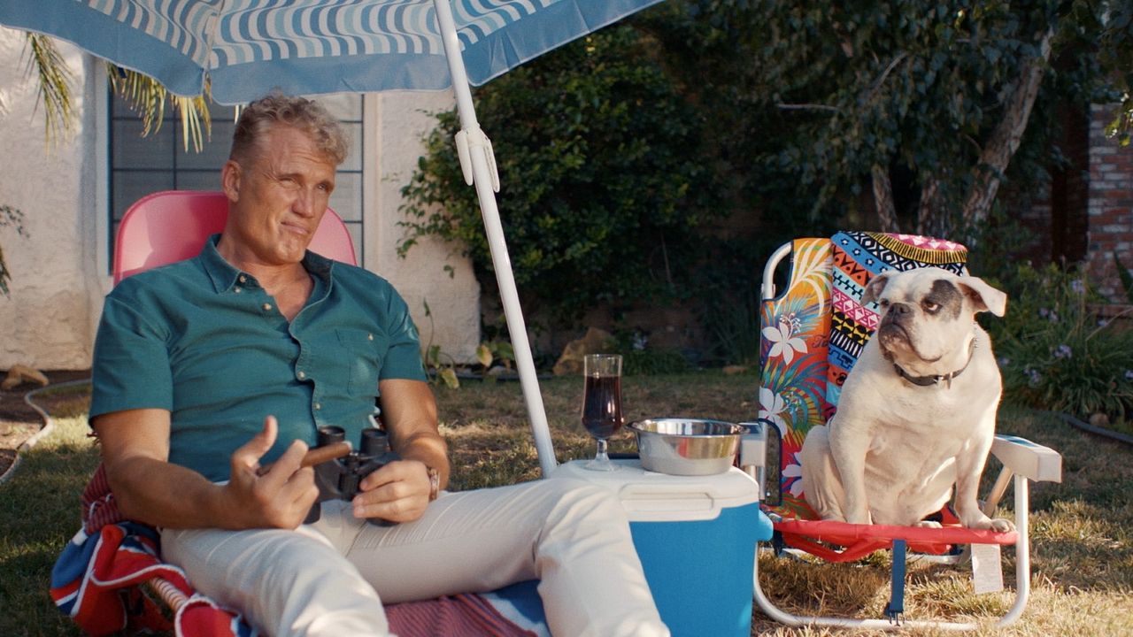 Hunde - allein zu Haus : Bild