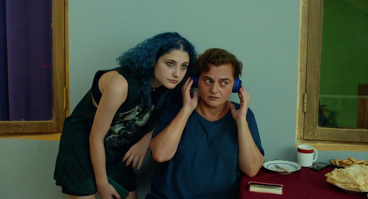 Amsel im Brombeerstrauch : Bild Eka Chavleishvili