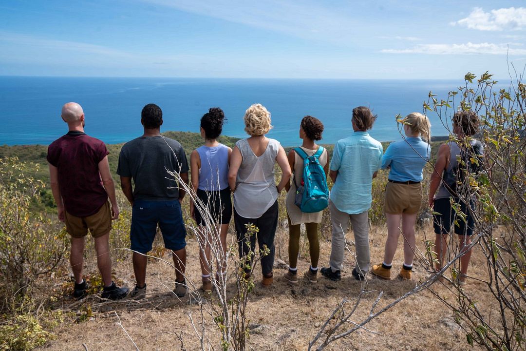 Ein Jahr auf der Insel : Bild