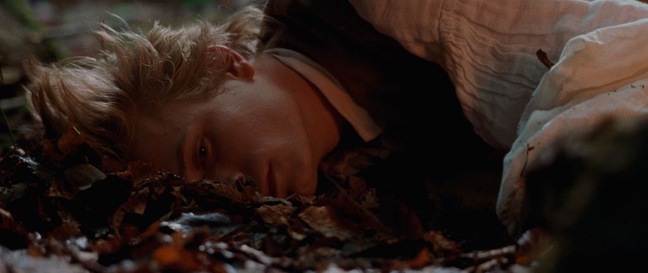 Der Pakt der Wölfe : Bild