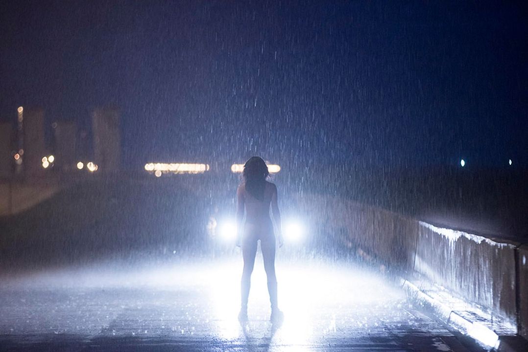 Das 13. Zeichen : Bild