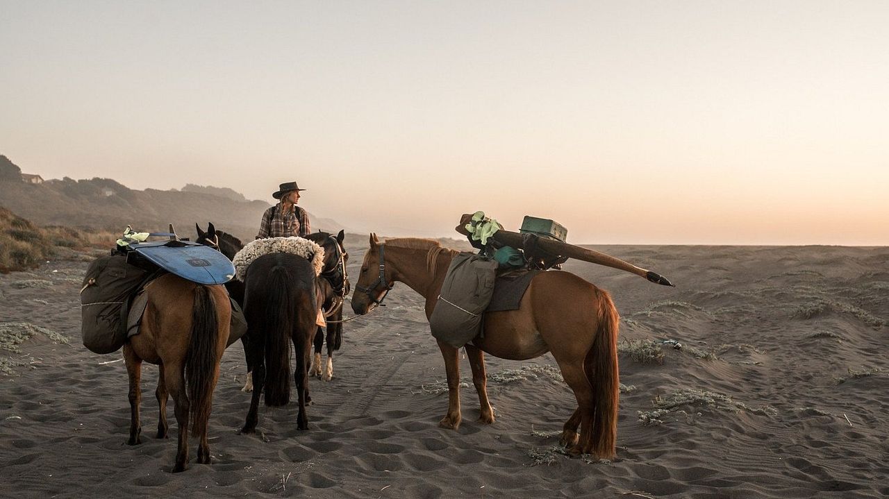 The Road to Patagonia : Bild