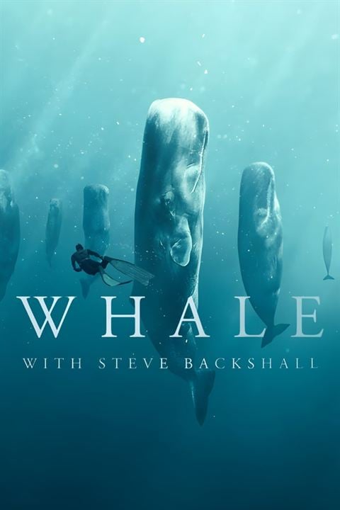 Wale mit Steve Backshall : Kinoposter