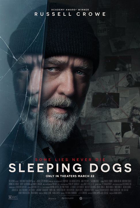 Sleeping Dogs : Kinoposter