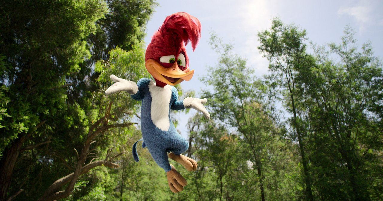 Woody Woodpecker geht ins Camp : Bild