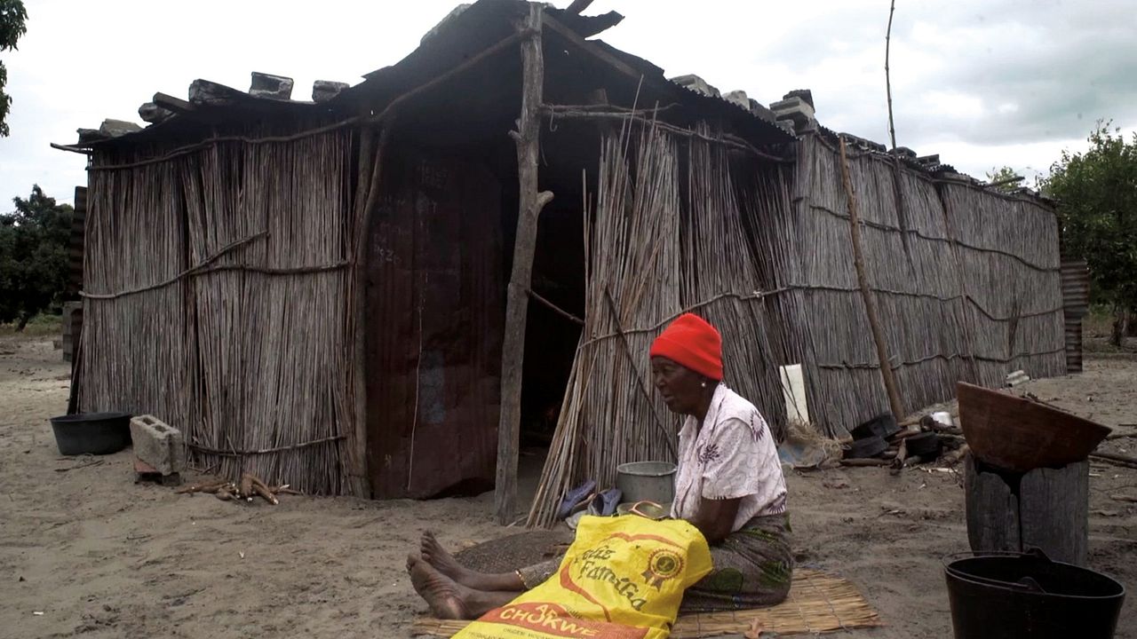 As noites ainda cheiram a pólvora : Bild