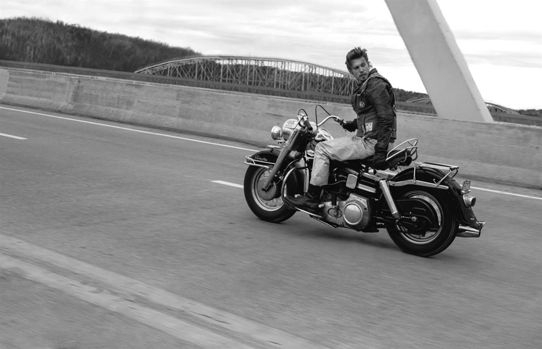 The Bikeriders : Bild Austin Butler